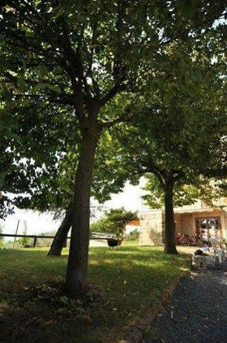 Il Casale Di Mario Vila Montecchio  Exterior foto